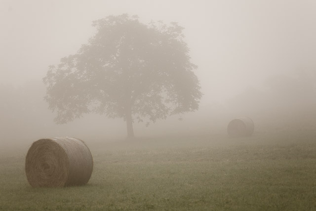 Brume matinale